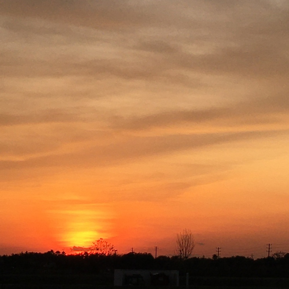 Meet your Posher, Gabby